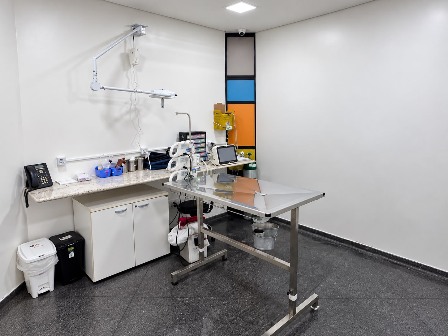 Sala cirúrgica veterinária com mesa e equipamentos para procedimentos